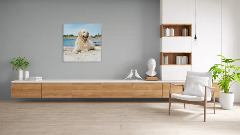 Tablou Canvas, "Câine fericit pe plaja însorită", Loial, Blănos, Relaxat, Plajă, Câine, Curat, Liniște, Peisaj, Vară, Albastru, 100 x 100 cm – poza 8