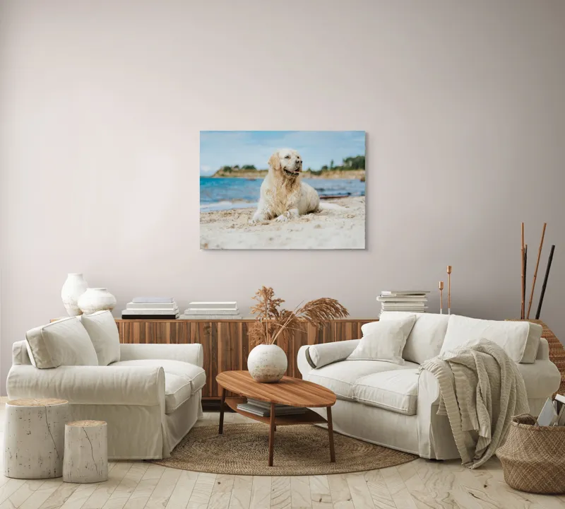 Tablou Canvas, "Câine fericit pe plaja însorită", Loial, Blănos, Relaxat, Plajă, Câine, Curat, Liniște, Peisaj, Vară, Albastru, 100 x 70 cm – poza 3