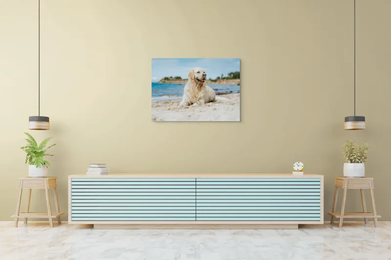 Tablou Canvas, "Câine fericit pe plaja însorită", Loial, Blănos, Relaxat, Plajă, Câine, Curat, Liniște, Peisaj, Vară, Albastru, 100 x 70 cm – poza 4