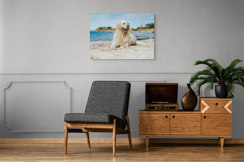 Tablou Canvas, "Câine fericit pe plaja însorită", Loial, Blănos, Relaxat, Plajă, Câine, Curat, Liniște, Peisaj, Vară, Albastru, 100 x 70 cm – poza 8