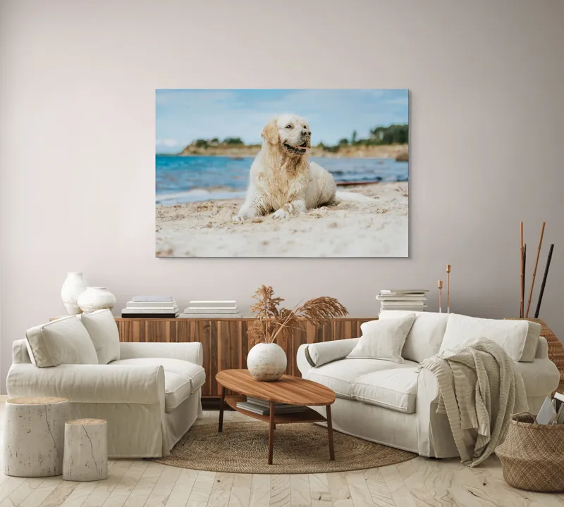 Tablou Canvas, "Câine fericit pe plaja însorită", Loial, Blănos, Relaxat, Plajă, Câine, Curat, Liniște, Peisaj, Vară, Albastru, 150 x 100 cm – poza 3