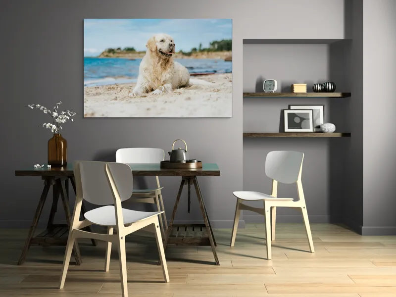 Tablou Canvas, "Câine fericit pe plaja însorită", Loial, Blănos, Relaxat, Plajă, Câine, Curat, Liniște, Peisaj, Vară, Albastru, 150 x 100 cm – poza 5