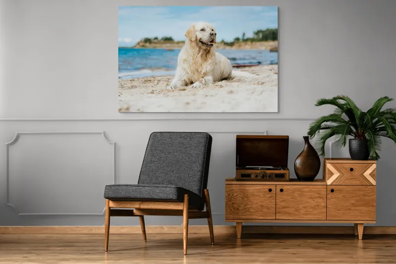 Tablou Canvas, "Câine fericit pe plaja însorită", Loial, Blănos, Relaxat, Plajă, Câine, Curat, Liniște, Peisaj, Vară, Albastru, 150 x 100 cm – poza 8