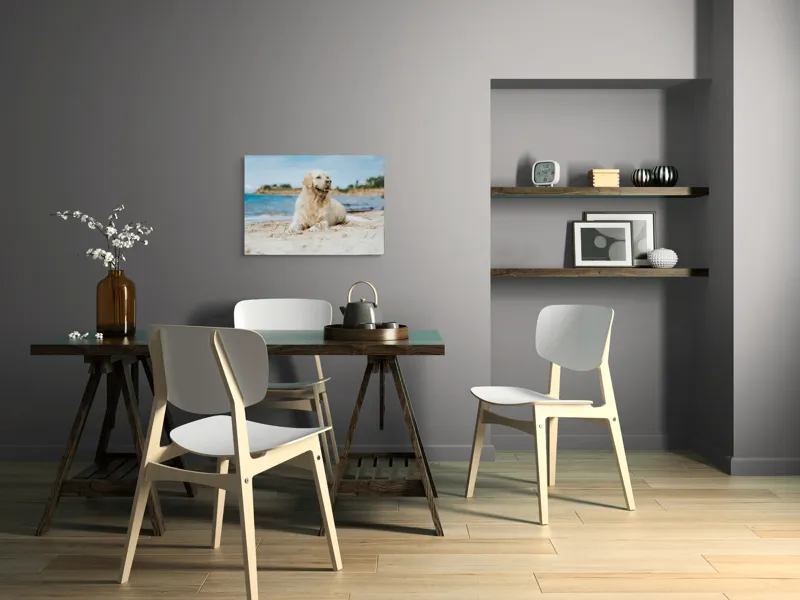 Tablou Canvas, "Câine fericit pe plaja însorită", Loial, Blănos, Relaxat, Plajă, Câine, Curat, Liniște, Peisaj, Vară, Albastru, 70 x 50 cm – poza 5