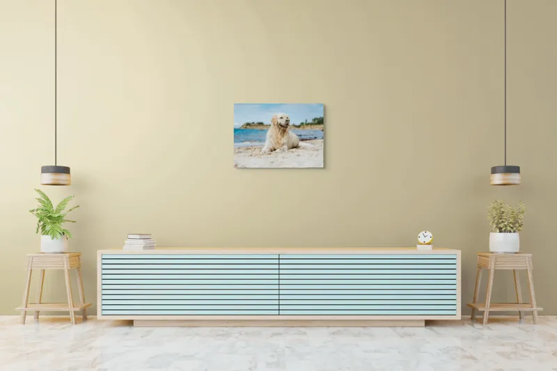 Tablou Canvas, "Câine fericit pe plaja însorită", Loial, Blănos, Relaxat, Plajă, Câine, Curat, Liniște, Peisaj, Vară, Albastru, 70 x 50 cm – poza 7