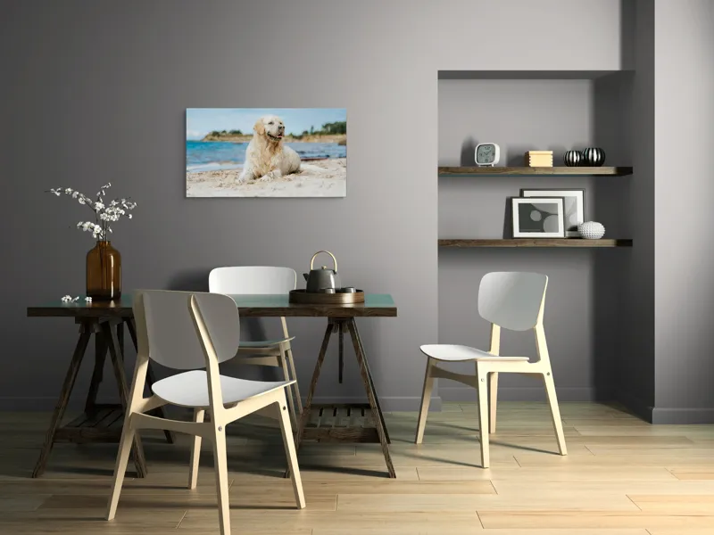 Tablou Canvas, "Câine fericit pe plaja însorită", Loial, Blănos, Relaxat, Plajă, Câine, Curat, Liniște, Peisaj, Vară, Albastru, 90 x 50 cm – poza 3