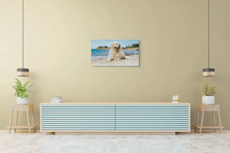 Tablou Canvas, "Câine fericit pe plaja însorită", Loial, Blănos, Relaxat, Plajă, Câine, Curat, Liniște, Peisaj, Vară, Albastru, 90 x 50 cm – poza 5