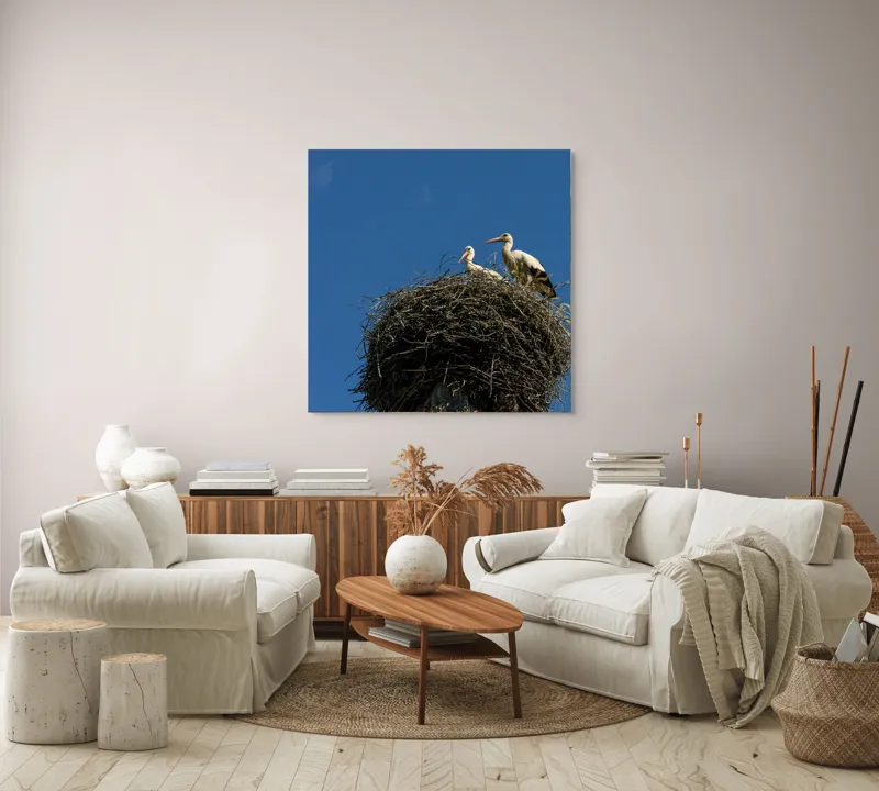 Tablou Canvas, "Cuib de berze sub cer senin", Cuib, Barza, Cer, Albastru, Pasari, Ramuri, Soare, Natura, Libertate, Liniste, 100 x 100 cm – poza 3