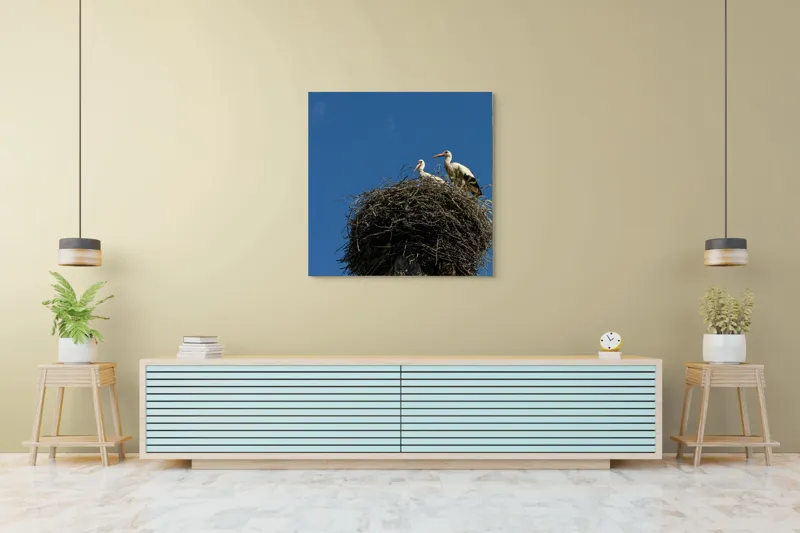 Tablou Canvas, "Cuib de berze sub cer senin", Cuib, Barza, Cer, Albastru, Pasari, Ramuri, Soare, Natura, Libertate, Liniste, 100 x 100 cm – poza 5