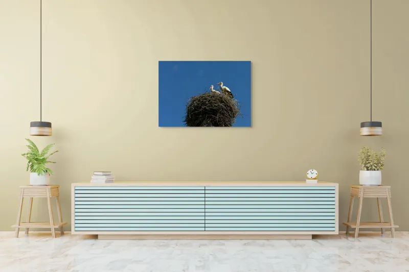 Tablou Canvas, "Cuib de berze sub cer senin", Cuib, Barza, Cer, Albastru, Pasari, Ramuri, Soare, Natura, Libertate, Liniste, 100 x 70 cm – poza 4