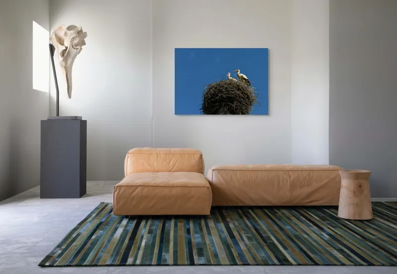 Tablou Canvas, "Cuib de berze sub cer senin", Cuib, Barza, Cer, Albastru, Pasari, Ramuri, Soare, Natura, Libertate, Liniste, 100 x 70 cm – poza 7