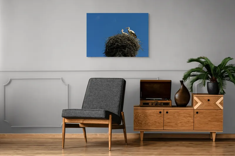 Tablou Canvas, "Cuib de berze sub cer senin", Cuib, Barza, Cer, Albastru, Pasari, Ramuri, Soare, Natura, Libertate, Liniste, 100 x 70 cm – poza 8
