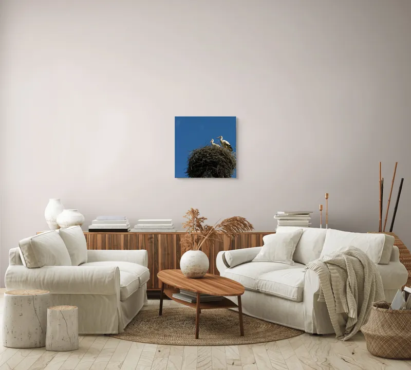 Tablou Canvas, "Cuib de berze sub cer senin", Cuib, Barza, Cer, Albastru, Pasari, Ramuri, Soare, Natura, Libertate, Liniste, 50 x 50 cm – poza 7