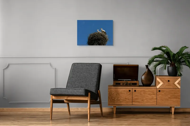 Tablou Canvas, "Cuib de berze sub cer senin", Cuib, Barza, Cer, Albastru, Pasari, Ramuri, Soare, Natura, Libertate, Liniste, 70 x 50 cm – poza 4