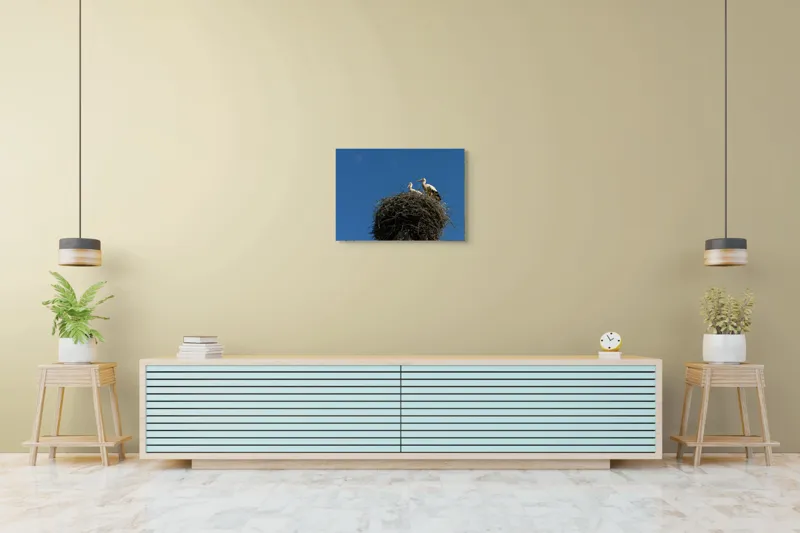 Tablou Canvas, "Cuib de berze sub cer senin", Cuib, Barza, Cer, Albastru, Pasari, Ramuri, Soare, Natura, Libertate, Liniste, 70 x 50 cm – poza 7