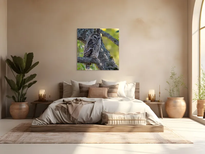 Tablou Canvas, "Bufnița tăcută pe ramură veche", Bufniță, Creangă, Lumină, Pene, Camuflaj, Natură, Ochi, Blând., 100 x 100 cm – poza 4