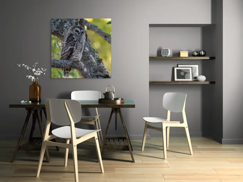 Tablou Canvas, "Bufnița tăcută pe ramură veche", Bufniță, Creangă, Lumină, Pene, Camuflaj, Natură, Ochi, Blând., 100 x 100 cm – poza 6