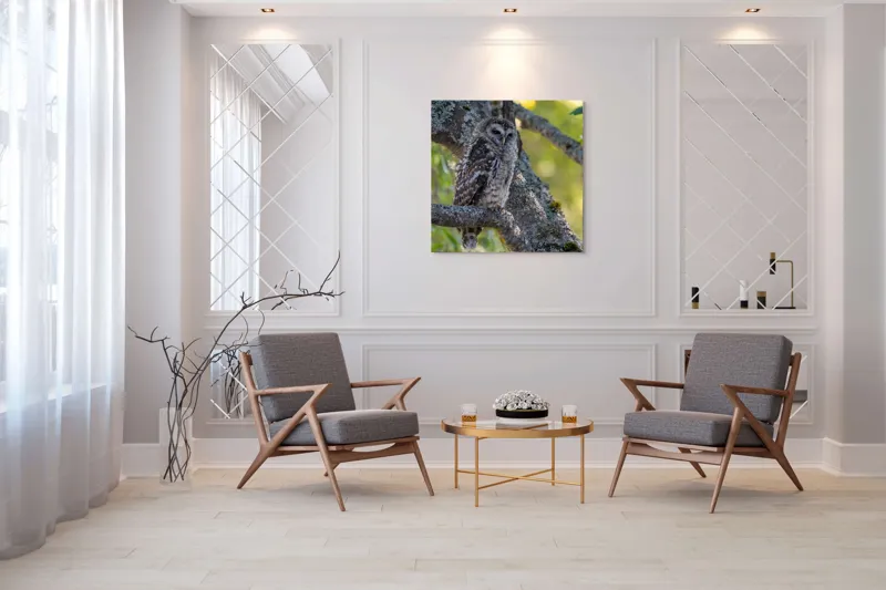 Tablou Canvas, "Bufnița tăcută pe ramură veche", Bufniță, Creangă, Lumină, Pene, Camuflaj, Natură, Ochi, Blând., 100 x 100 cm – poza 7