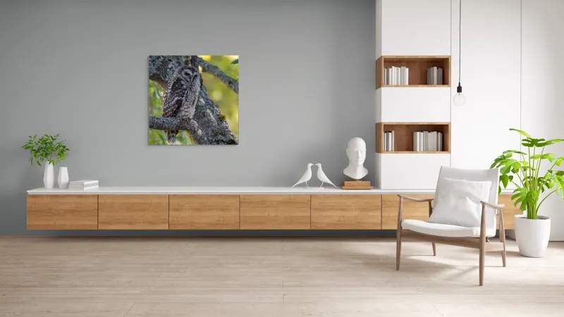 Tablou Canvas, "Bufnița tăcută pe ramură veche", Bufniță, Creangă, Lumină, Pene, Camuflaj, Natură, Ochi, Blând., 100 x 100 cm – poza 8