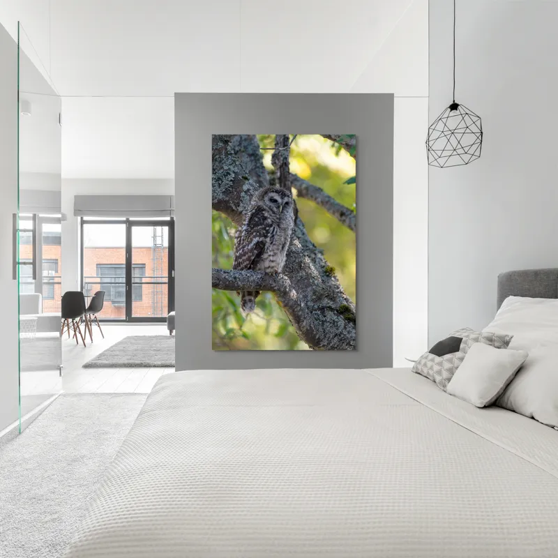 Tablou Canvas, "Bufnița tăcută pe ramură veche", Bufniță, Creangă, Lumină, Pene, Camuflaj, Natură, Ochi, Blând., 100 x 150 cm – poza 5