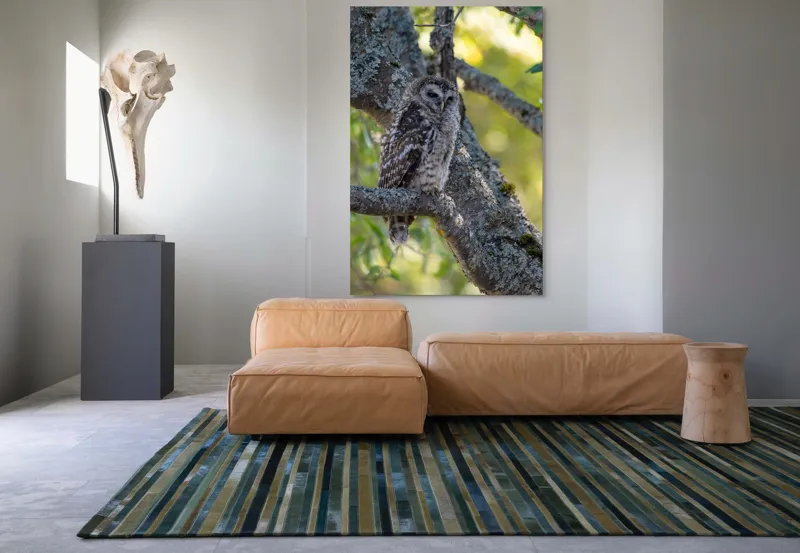 Tablou Canvas, "Bufnița tăcută pe ramură veche", Bufniță, Creangă, Lumină, Pene, Camuflaj, Natură, Ochi, Blând., 100 x 150 cm – poza 7