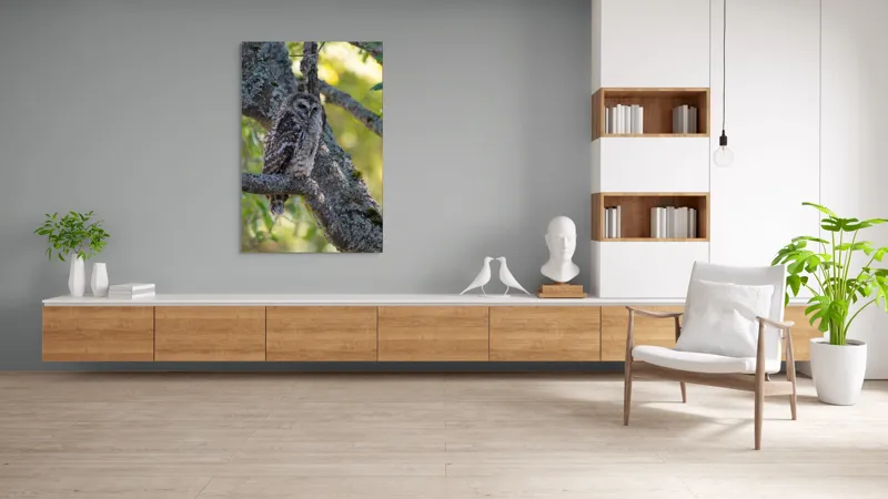 Tablou Canvas, "Bufnița tăcută pe ramură veche", Bufniță, Creangă, Lumină, Pene, Camuflaj, Natură, Ochi, Blând., 100 x 150 cm – poza 8