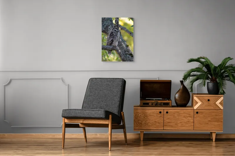 Tablou Canvas, "Bufnița tăcută pe ramură veche", Bufniță, Creangă, Lumină, Pene, Camuflaj, Natură, Ochi, Blând., 50 x 70 cm – poza 8