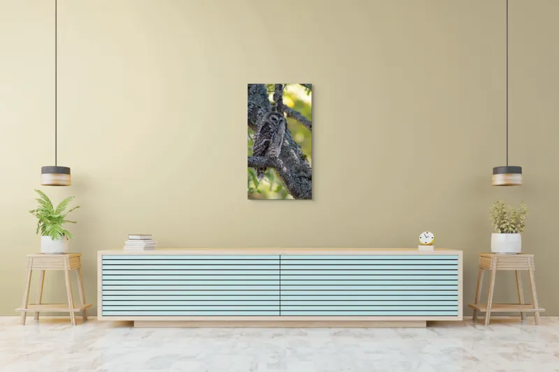 Tablou Canvas, "Bufnița tăcută pe ramură veche", Bufniță, Creangă, Lumină, Pene, Camuflaj, Natură, Ochi, Blând., 50 x 90 cm – poza 6