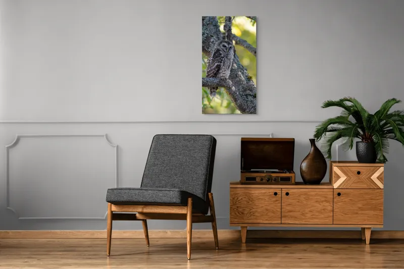 Tablou Canvas, "Bufnița tăcută pe ramură veche", Bufniță, Creangă, Lumină, Pene, Camuflaj, Natură, Ochi, Blând., 50 x 90 cm – poza 8