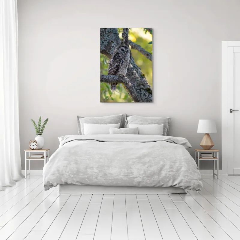 Tablou Canvas, "Bufnița tăcută pe ramură veche", Bufniță, Creangă, Lumină, Pene, Camuflaj, Natură, Ochi, Blând., 70 x 100 cm – poza 3