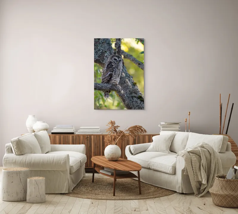 Tablou Canvas, "Bufnița tăcută pe ramură veche", Bufniță, Creangă, Lumină, Pene, Camuflaj, Natură, Ochi, Blând., 70 x 100 cm – poza 4