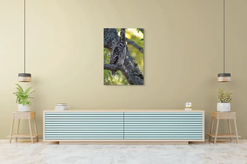 Tablou Canvas, "Bufnița tăcută pe ramură veche", Bufniță, Creangă, Lumină, Pene, Camuflaj, Natură, Ochi, Blând., 70 x 100 cm – poza 5