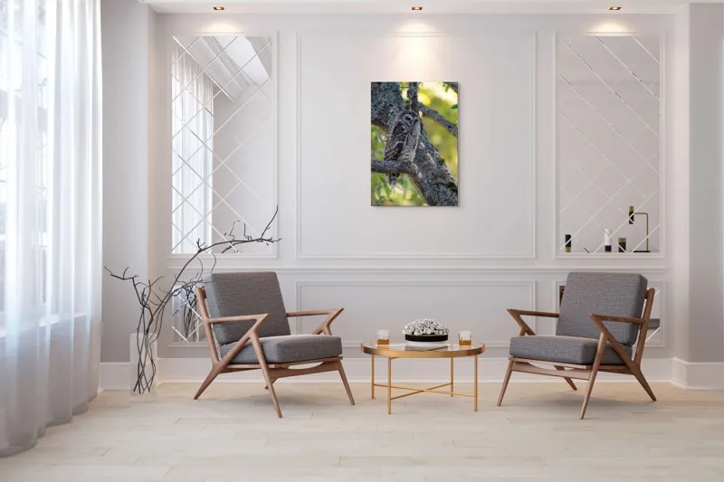 Tablou Canvas, "Bufnița tăcută pe ramură veche", Bufniță, Creangă, Lumină, Pene, Camuflaj, Natură, Ochi, Blând., 70 x 100 cm – poza 8