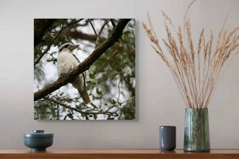 Tablou Canvas, "Pasărea râzătoare pe creanga pădurii", Pasăre, Crengi, Frunziș, Cer, Pene, Natură, Observație, Tranquilitate, Habitat, Copaci, 50 x 50 cm – poza 4