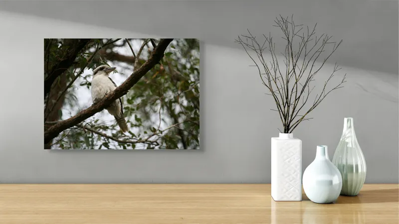Tablou Canvas, "Pasărea râzătoare pe creanga pădurii", Pasăre, Crengi, Frunziș, Cer, Pene, Natură, Observație, Tranquilitate, Habitat, Copaci, 54 x 39 cm – poza 3