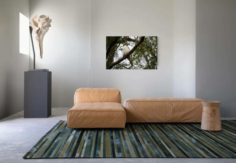 Tablou Canvas, "Pasărea râzătoare pe creanga pădurii", Pasăre, Crengi, Frunziș, Cer, Pene, Natură, Observație, Tranquilitate, Habitat, Copaci, 90 x 50 cm – poza 8
