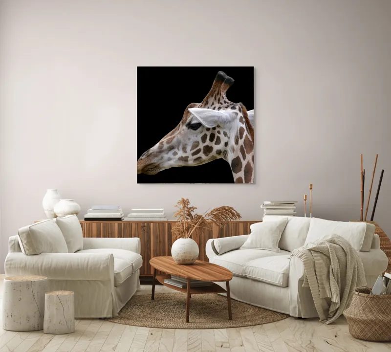 Tablou Canvas, "Ghepardul cerului înstelat african", Girafă, Pată, Negru, Urechi, Gât, Blană, Pete., 100 x 100 cm – poza 3
