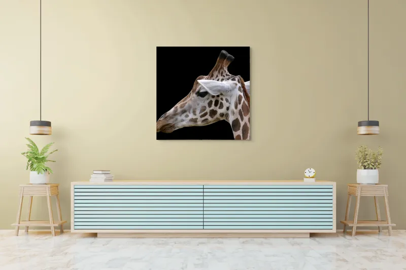 Tablou Canvas, "Ghepardul cerului înstelat african", Girafă, Pată, Negru, Urechi, Gât, Blană, Pete., 100 x 100 cm – poza 5