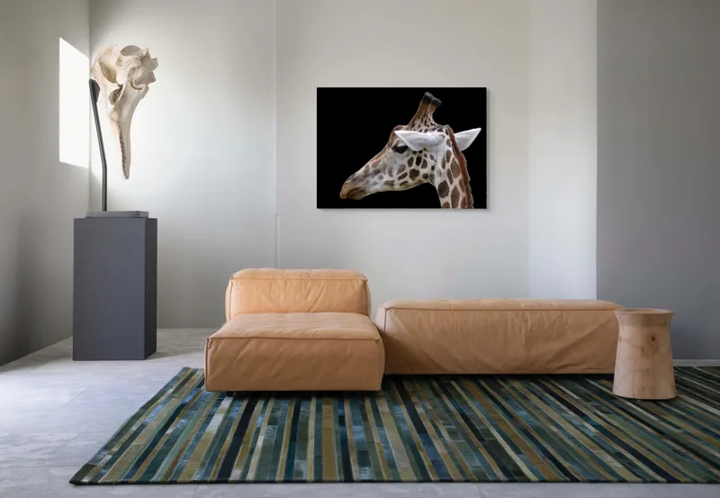 Tablou Canvas, "Ghepardul cerului înstelat african", Girafă, Pată, Negru, Urechi, Gât, Blană, Pete., 100 x 70 cm – poza 7