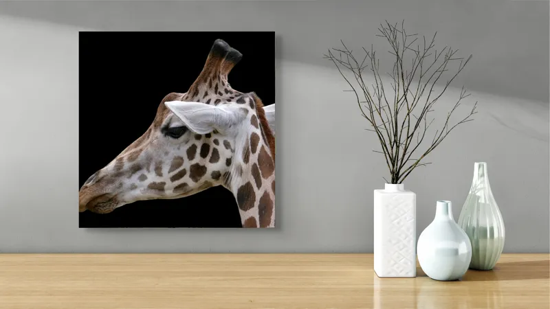 Tablou Canvas, "Ghepardul cerului înstelat african", Girafă, Pată, Negru, Urechi, Gât, Blană, Pete., 50 x 50 cm – poza 3