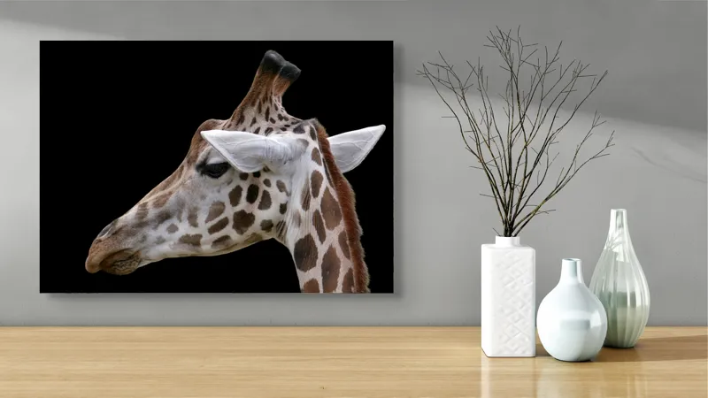 Tablou Canvas, "Ghepardul cerului înstelat african", Girafă, Pată, Negru, Urechi, Gât, Blană, Pete., 70 x 50 cm – poza 3