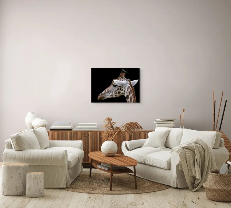Tablou Canvas, "Ghepardul cerului înstelat african", Girafă, Pată, Negru, Urechi, Gât, Blană, Pete., 70 x 50 cm – poza 6
