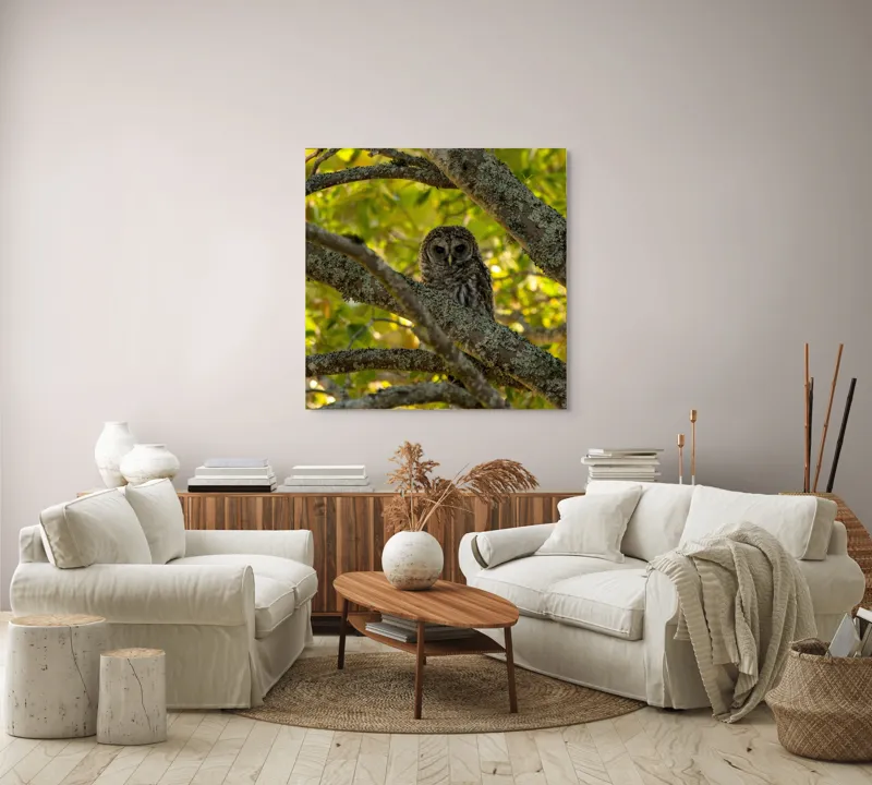Tablou Canvas, "Bufnița ascunsă în ramuri verzi", Bufniță, Ramuri, Verdeață, Lumină, Camuflaj, Natură, Frunziș, 100 x 100 cm – poza 3