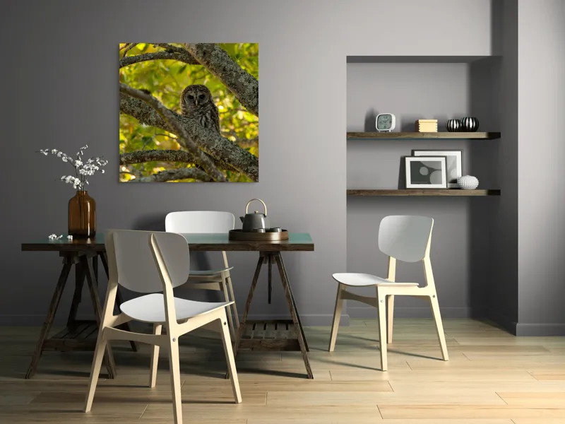 Tablou Canvas, "Bufnița ascunsă în ramuri verzi", Bufniță, Ramuri, Verdeață, Lumină, Camuflaj, Natură, Frunziș, 100 x 100 cm – poza 6
