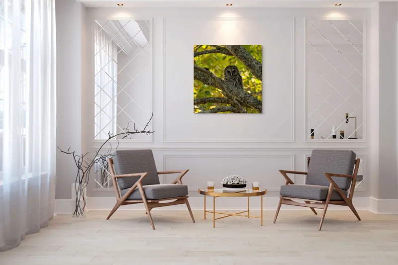 Tablou Canvas, "Bufnița ascunsă în ramuri verzi", Bufniță, Ramuri, Verdeață, Lumină, Camuflaj, Natură, Frunziș, 100 x 100 cm – poza 7