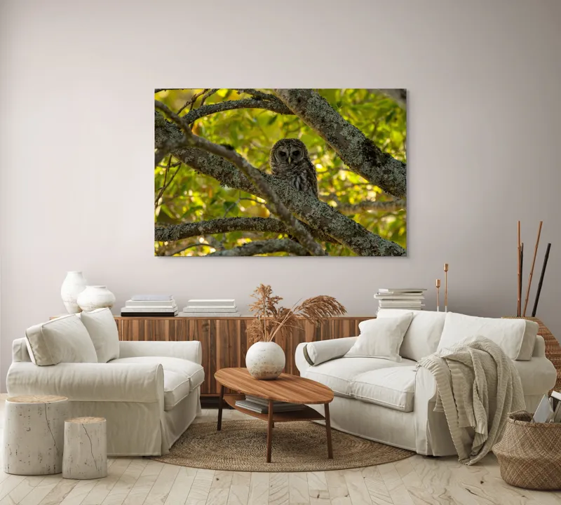 Tablou Canvas, "Bufnița ascunsă în ramuri verzi", Bufniță, Ramuri, Verdeață, Lumină, Camuflaj, Natură, Frunziș, 150 x 100 cm – poza 3