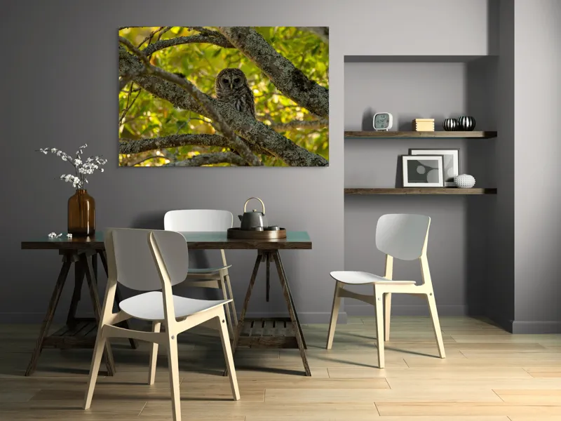 Tablou Canvas, "Bufnița ascunsă în ramuri verzi", Bufniță, Ramuri, Verdeață, Lumină, Camuflaj, Natură, Frunziș, 150 x 100 cm – poza 5