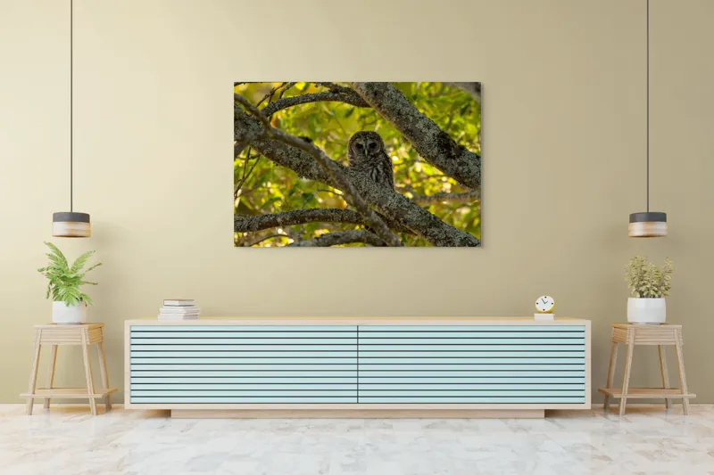 Tablou Canvas, "Bufnița ascunsă în ramuri verzi", Bufniță, Ramuri, Verdeață, Lumină, Camuflaj, Natură, Frunziș, 150 x 100 cm – poza 6