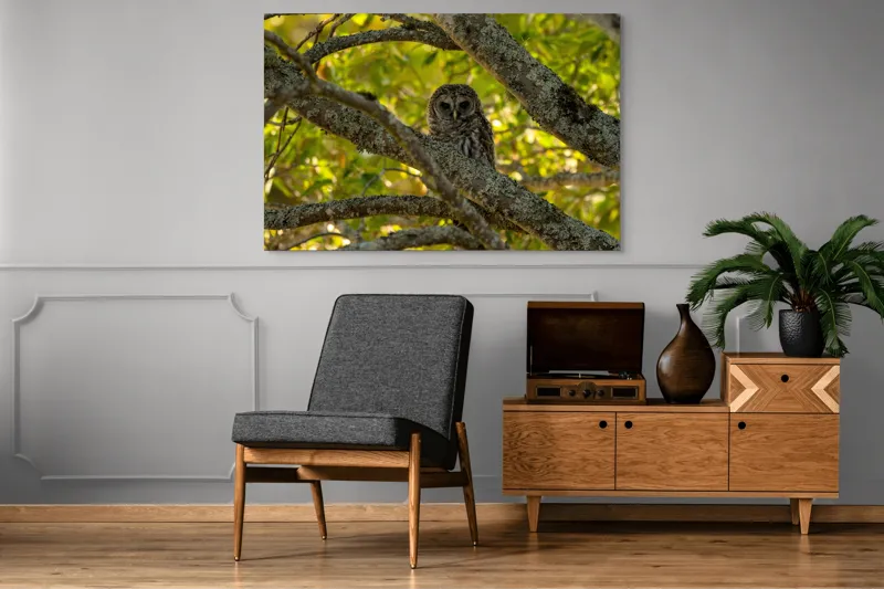 Tablou Canvas, "Bufnița ascunsă în ramuri verzi", Bufniță, Ramuri, Verdeață, Lumină, Camuflaj, Natură, Frunziș, 150 x 100 cm – poza 8