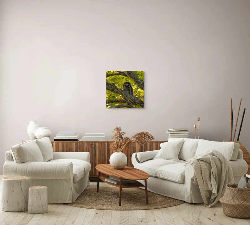 Tablou Canvas, "Bufnița ascunsă în ramuri verzi", Bufniță, Ramuri, Verdeață, Lumină, Camuflaj, Natură, Frunziș, 50 x 50 cm – poza 7